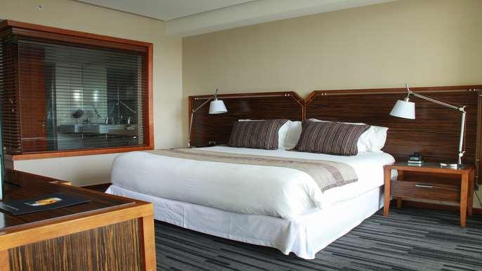 Hotel Dreams Valdivia Phòng bức ảnh A bedroom at the hotel